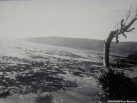 ngdc_1960chile_inundation_1.jpg